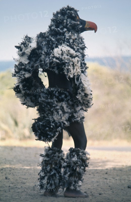 ZIMBABWE, People, Men, Makishi bird dancer in feathered mask and costume.