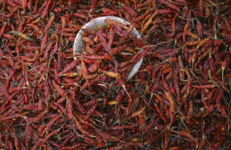 MEXICO, Chiapas, Dried red chillies filling frame.