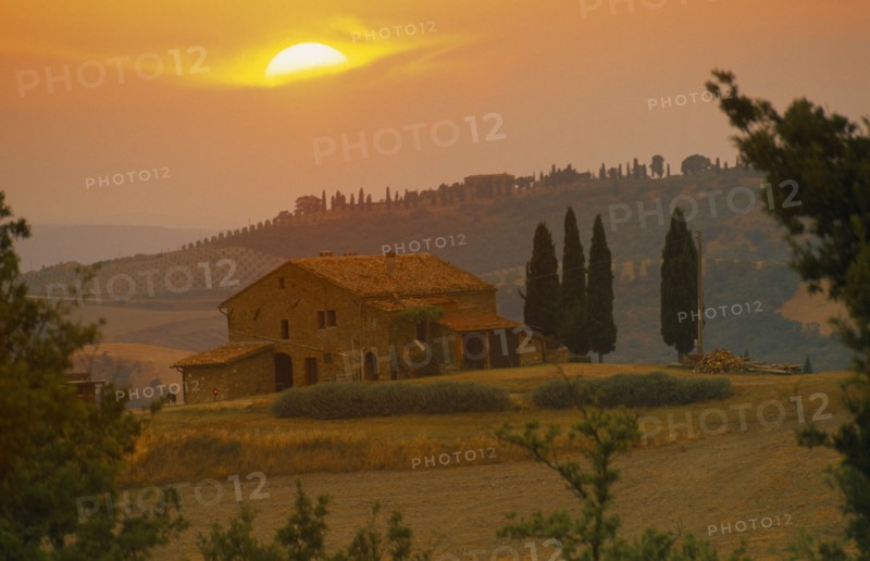 ITALY, Tuscany, Farmhouse and cypress trees at sunset near San Quirico d’Orcia.