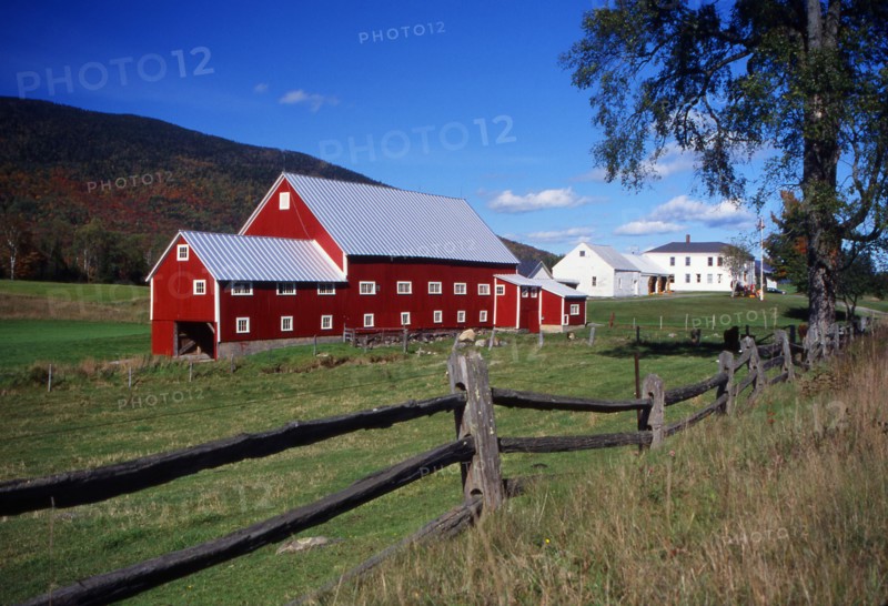 USA, New Hampshire, Colebrook, "Large red barn in a field, white farm house in the distance."