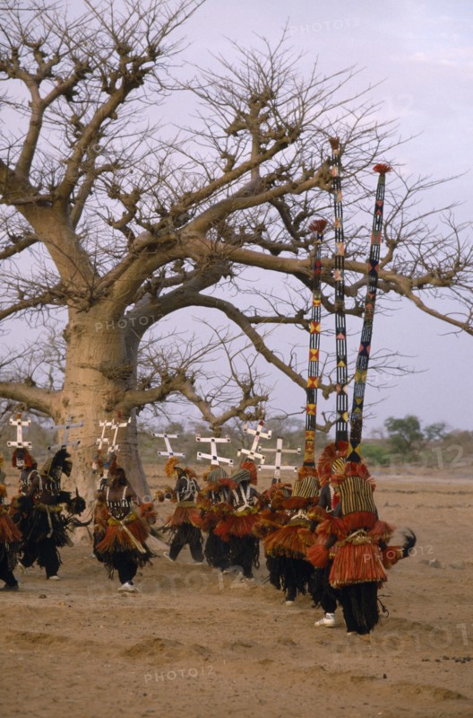 MALI, Bandiagara Escarpment, Sangha, Dogon dancers wearing kanaga and iminana masks.