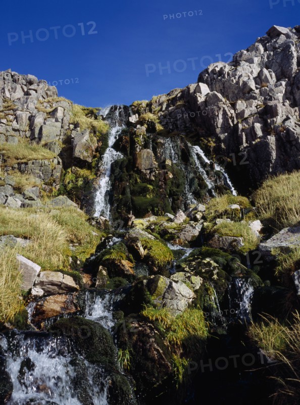 SCOTLAND, Highlands, Inchnadamph Forest, "Stream and waterfall from Coire a’ Mhadaidh, North side of Ben More Assynt"