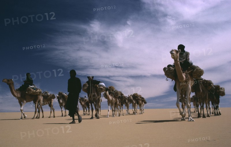 NIGER, Transport, Animals, Tuareg camel caravan.