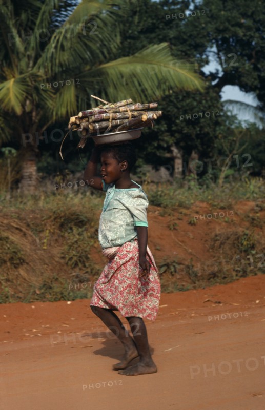 MOZAMBIQUE, Work, Young girl carrying cut lengths of sugar cane on her head.
