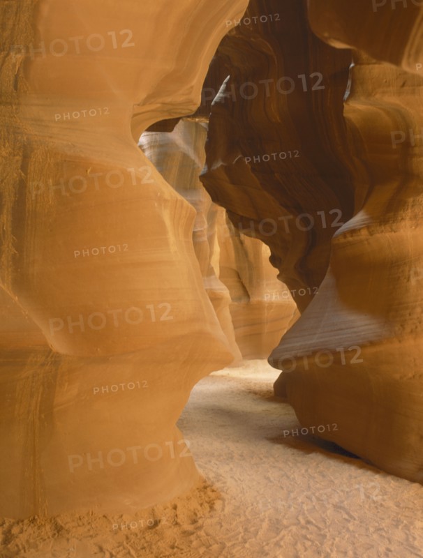 USA, Arizona, Antelope Canyon, Carved shapes formed from rushing water after storms showing colourful golden red rocks