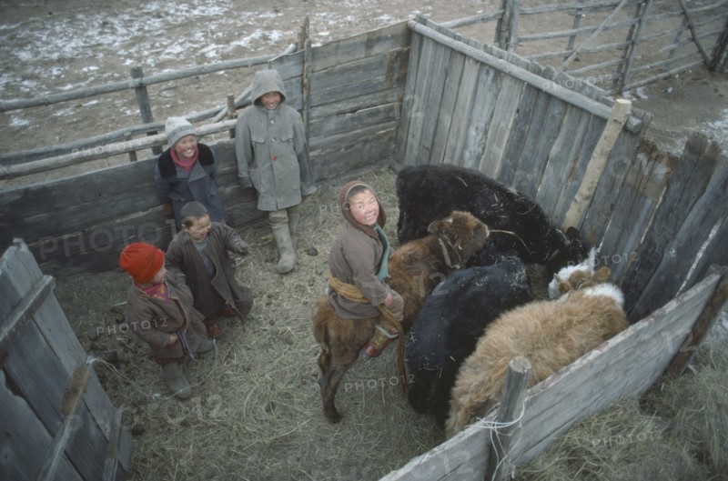 MONGOLIA, Children, Looking down on children playing in calf pen.