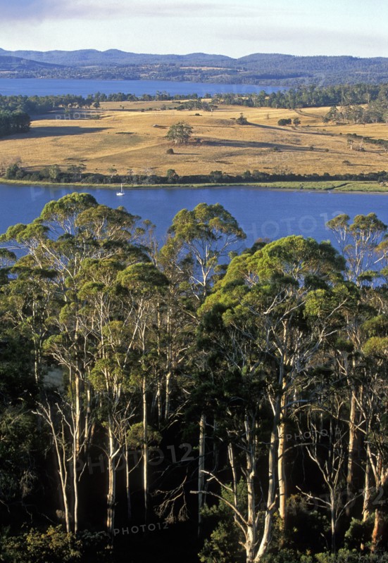 AUSTRALIA, Tasmania, Tamar Valley, "Looking north from Brady's Lookout State Reserve across the Tamar River in the state's premier wine region, the north."