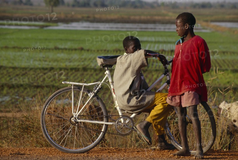 BURKINA  FASO, Bobo Dioulassou, Two boys with a bicycle stopped to talk beside paddy field.