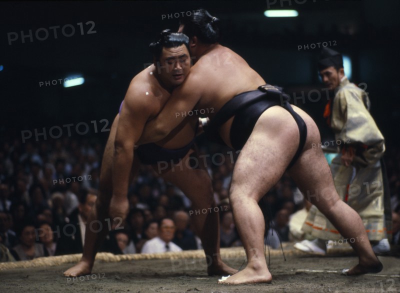 JAPAN, Honshu, Tokyo, Sumo wrestling.