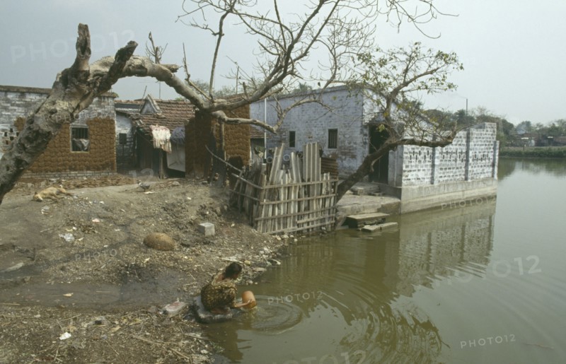 INDIA, West Bengal, Calcutta, Woman washing pot in polluted water of slum with dung used for fuel drying on walls of delapidated buildings behind.