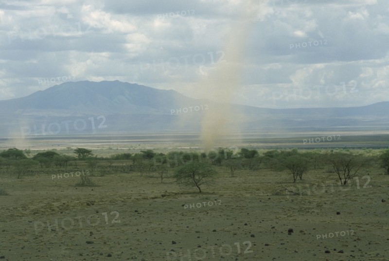 TANZANIA, Monduli Region, Eastern Rift Valley, Dust storm or ‘dust devil’ in dry acacia scrubland.