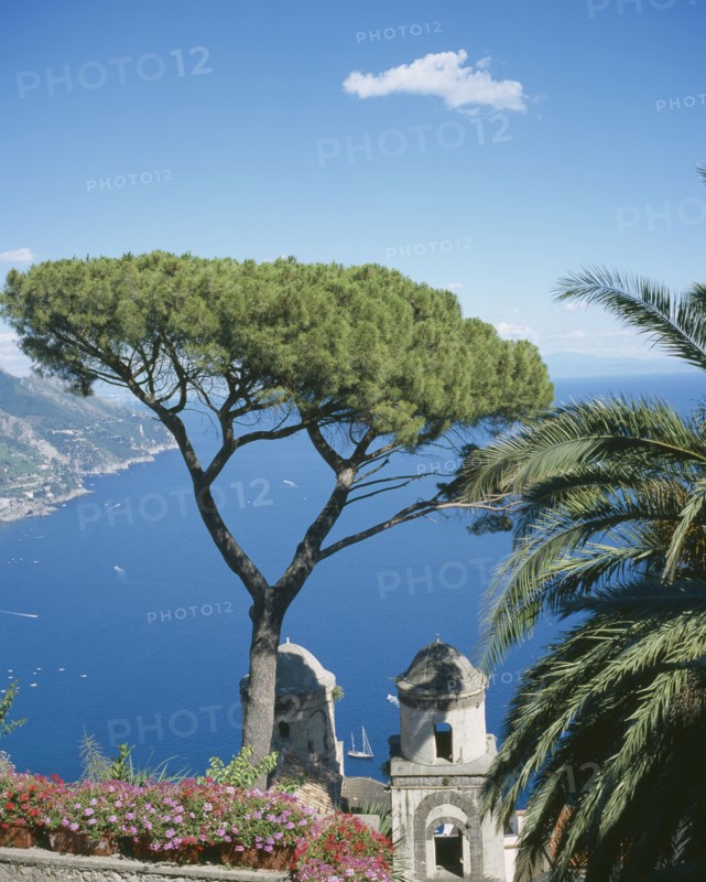 ITALY, Campania, Ravello, "Villa Rufolo, view from gardens to Maiori, Salerno. Tree in the foreground, yachts in the bay. "