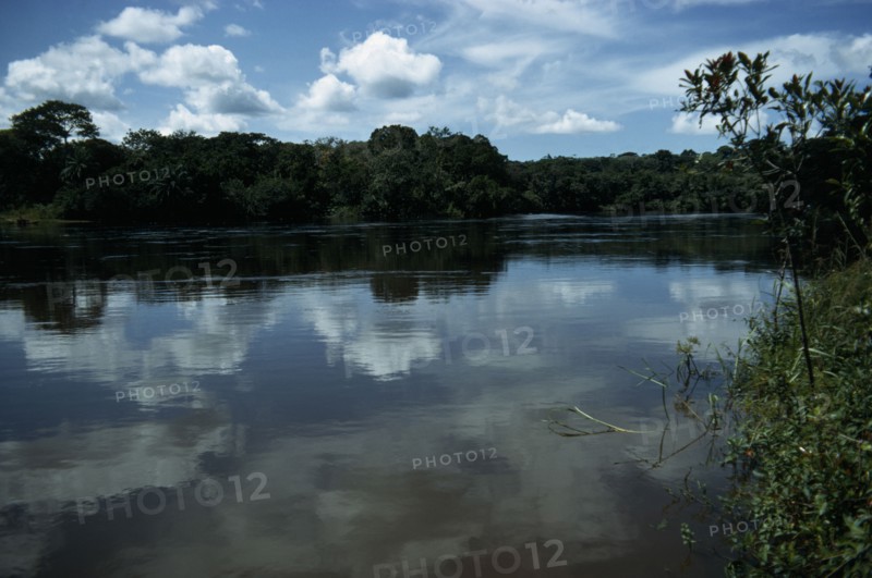 CENTRAL AFRICAN REPUBLIC, Landscape, Landscape with river lined by tropical rainforest.