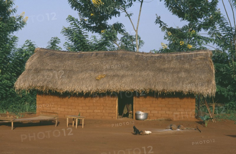 CENTRAL AFRICAN REPUBLIC, Traditional House, Typical roadside dwelling of the Sango Tribe with mud brick walls and thatched roof.