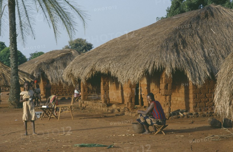 CENTRAL AFRICAN REPUBLIC, Traditional Houses, Typical roadside dwellings of the Sango Tribe with mud brick walls and thatched roof.