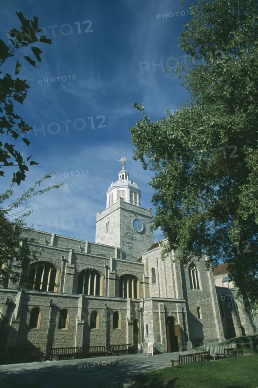 ENGLAND, Hampshire, Portsmouth, Old Portmouth. High Street. Cathedral of St Thomas framed by tree branches.