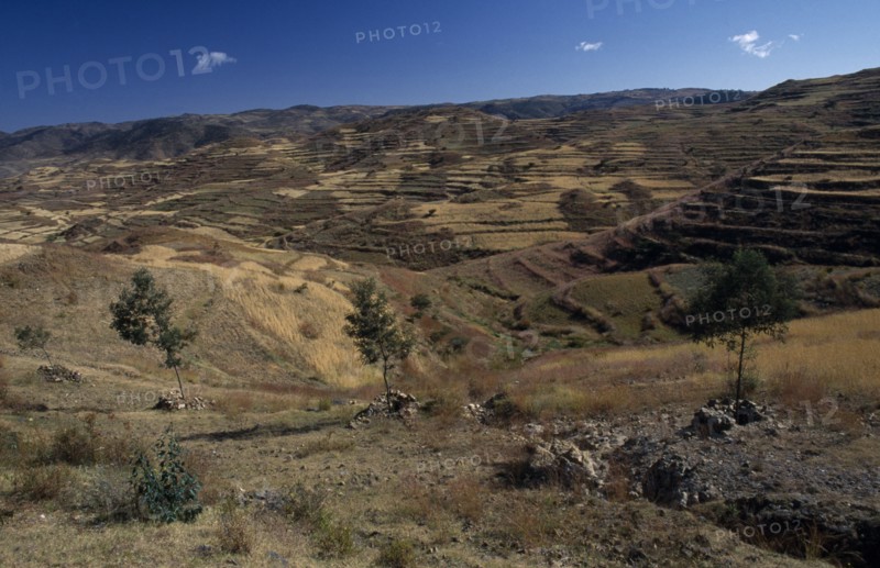 ERITREA, Landscape, Terraced hillsides and country road between Asmara and Keren.