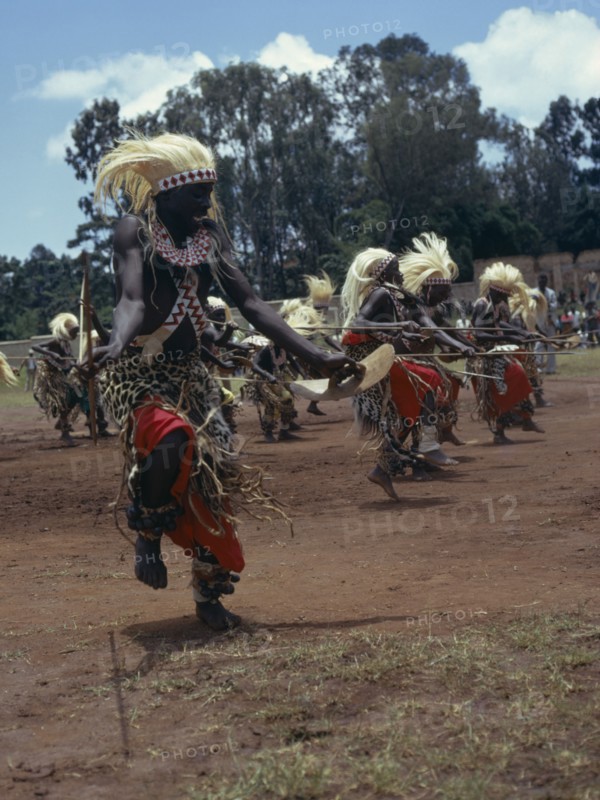 RWANDA, Tutsi, All male traditionally adorned Tutsi intore dancers characterised by coordinated drilling dances reflecting the Tutsi warrior tradition