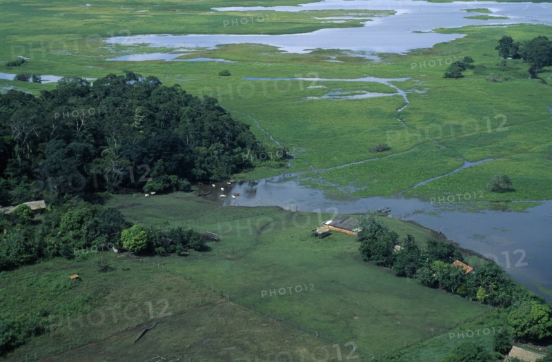 BRAZIL, Amazon, Para, Elevated view over Amazon floodplain near Monte Alegre.