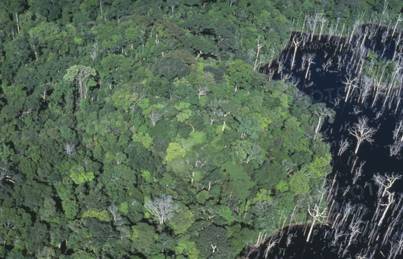 BRAZIL, Amazon, Para, Aerial view over tropical rainforest drowned by the Tucurui reservoir on the Tocantins River.
