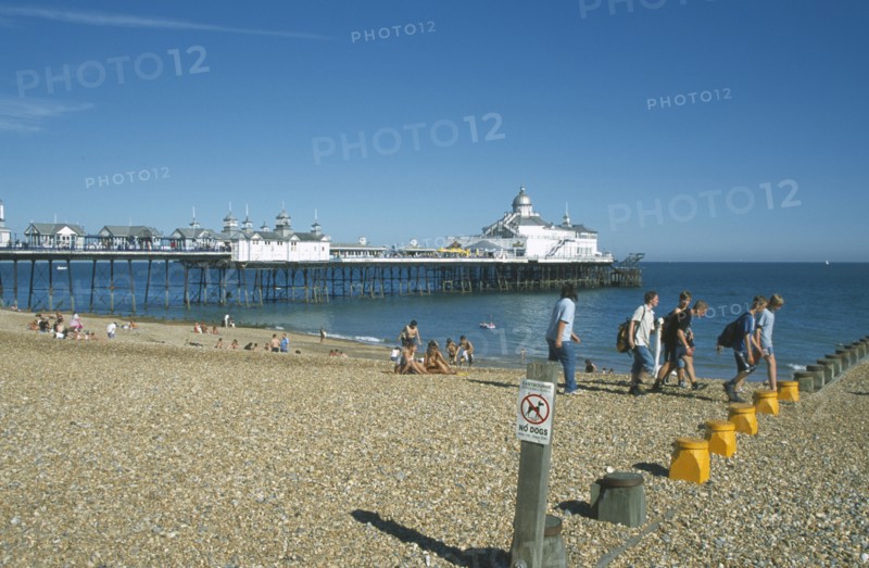 ENGLAND, East Sussex, Eastbourne, View across shingle beach towards pier with a group of people walking past and a No Dogs sign on a post in the foregound.