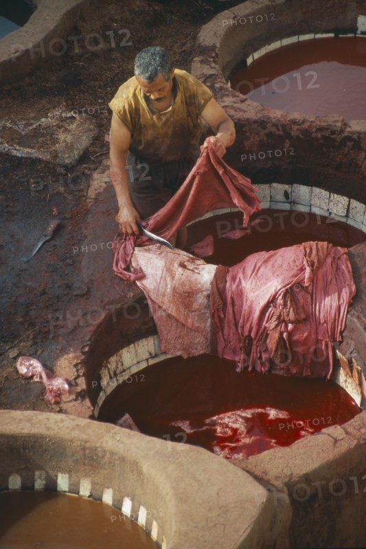 MOROCCO, Fes, Chouwara Tanneries.  Man working in the tanner’s pits using red dye.