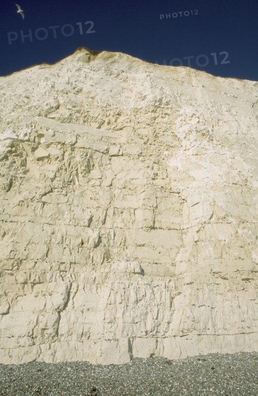 ENGLAND, East Sussex, Birling Gap, Section of cliff face.