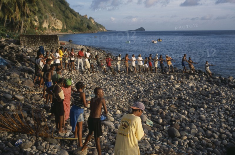 WEST INDIES, Dominica, Pointe Michel, Villagers on beach pulling a seine net as fishermen attempt to catch tuna close to shore.
