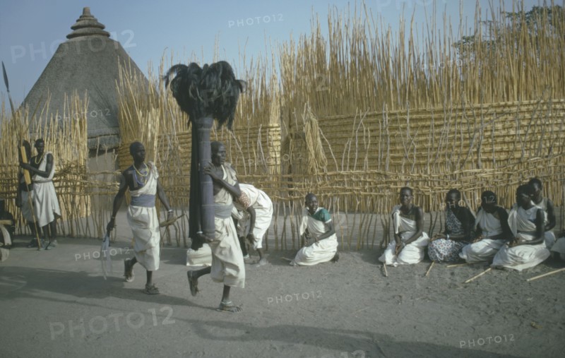 SUDAN, Tribal Peoples, Shilluk tribe attending coronation of king.