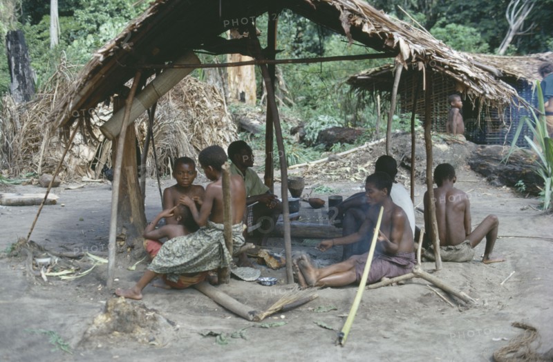 CONGO, Ituri Forest, Pygmies in village clearing sitting beneath thatched open sided shelter.