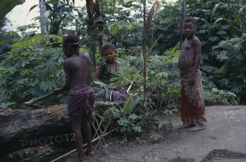 CONGO, Ituri Forest, Pygmy group in forest clearing.