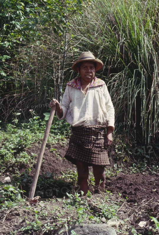 GUATEMALA, Solola, Campesino preparing land for cultivation.