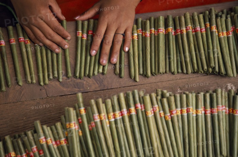 MYANMAR, Bago, Cropped shot looking down on hands of female worker in cheroot factory workplace.