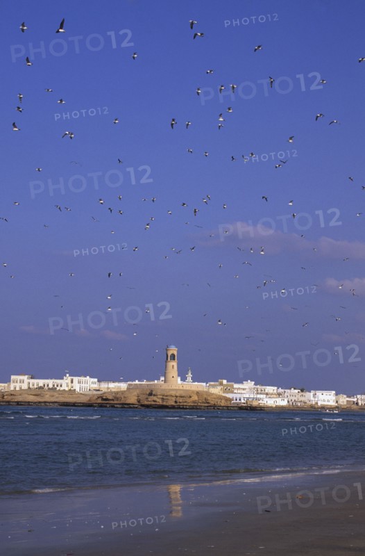 OMAN, Sur, Fort with sea-gulls and beach in the foreground.