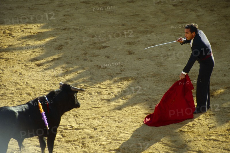 SPAIN, Andalucia, Mijas, Matador with lowered cape face to face with bull in ring.