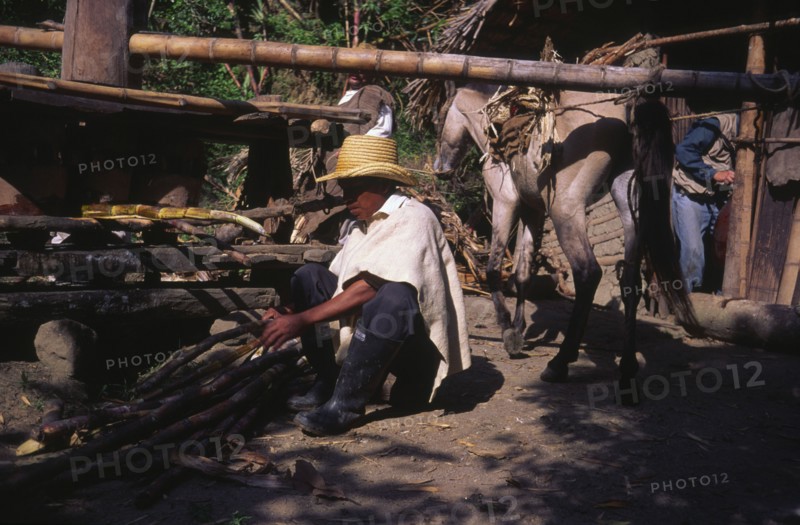 COLOMBIA, Tierredelentro, A man pressing sugar cane.