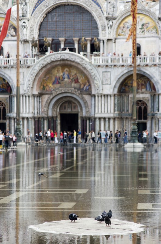 ITALY, Veneto, Venice, Aqua Alta High Water flooding in St Marks Square with pigeons on a dry piece of the piazza with St Marks Basilica beyond
