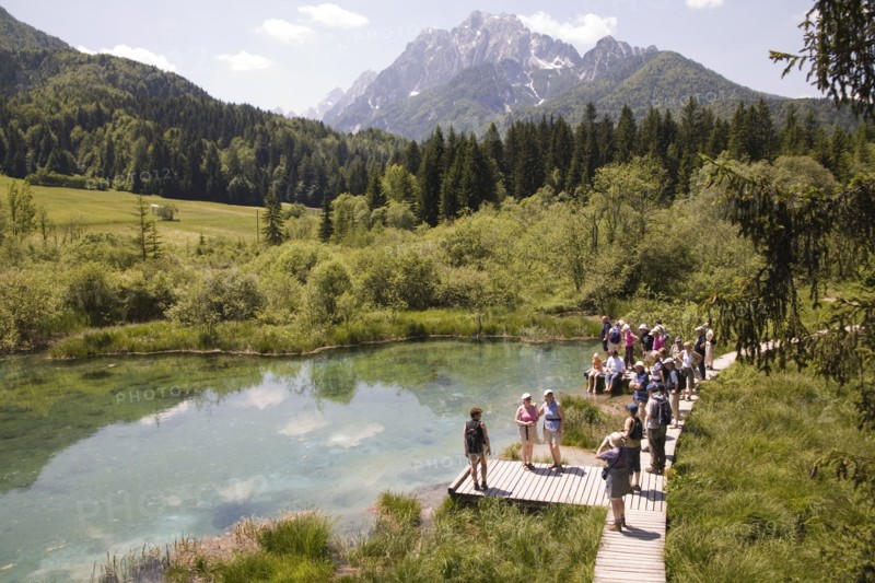 SLOVENIA , Kranjska Gora, Zelenci Lake, "Group of hikers at Zelenci Lake the source of the River Sava with the Julian Alps peaks Visoka Ponca, Jalovec and Planica in the background"