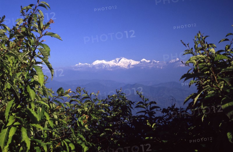 INDIA, West Bengal, Darjeeling, "View of Mount Kanchenjunga home of fine Indian tea, the old British hill station of Darjeeling commands spectacular views of the world's third highest mountain "
