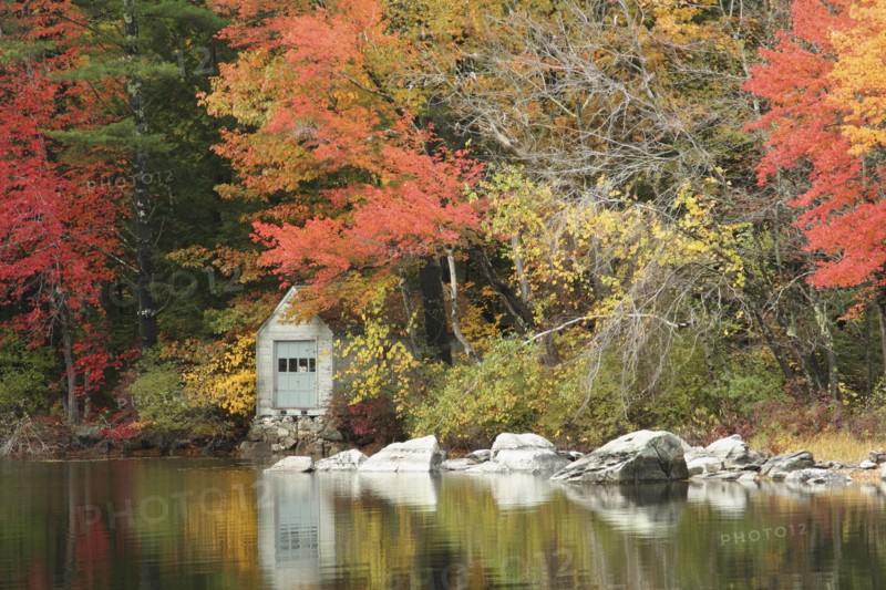 USA, New Hampshire, Sandwich, Autumn foliage on the shore of Squam Lake.