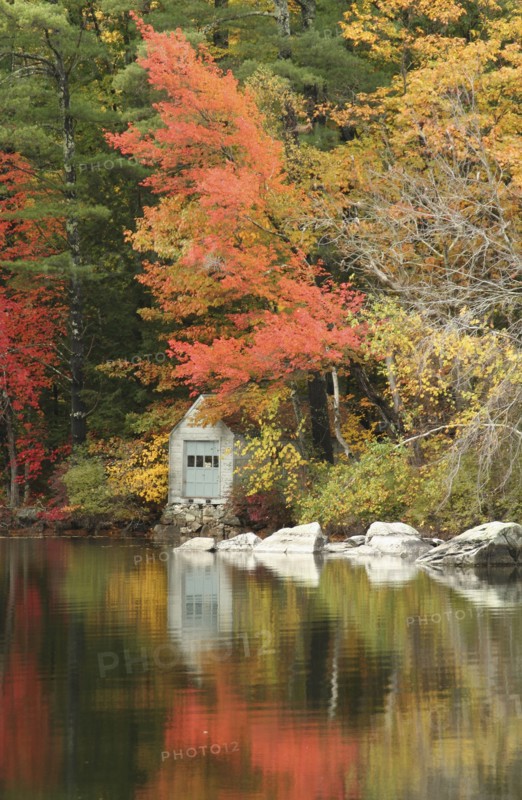USA, New Hampshire, Sandwich, Autumn foliage on the shore of Squam Lake.