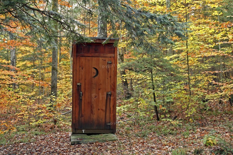 USA, New Hampshire, Sullivan, Outhouse amidst autumnal foliage.