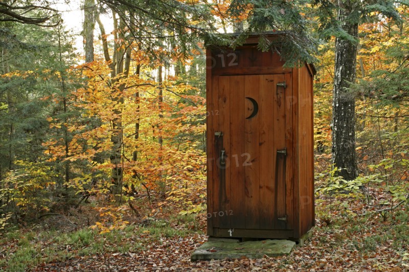 USA, New Hampshire, Sullivan, Outhouse amidst autumnal foliage.
