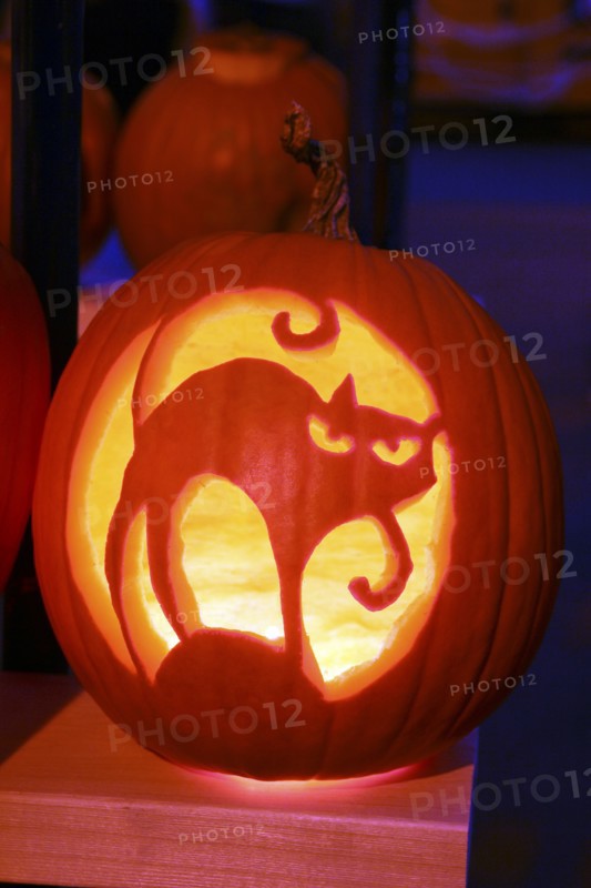 USA, New Hampshire, Keene, Pumpkin Festival