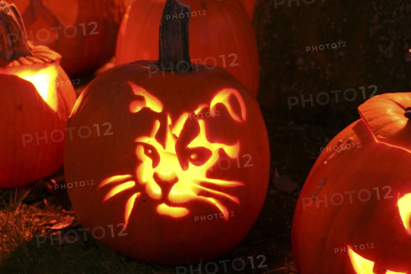 USA, New Hampshire, Keene, Pumpkin Festival