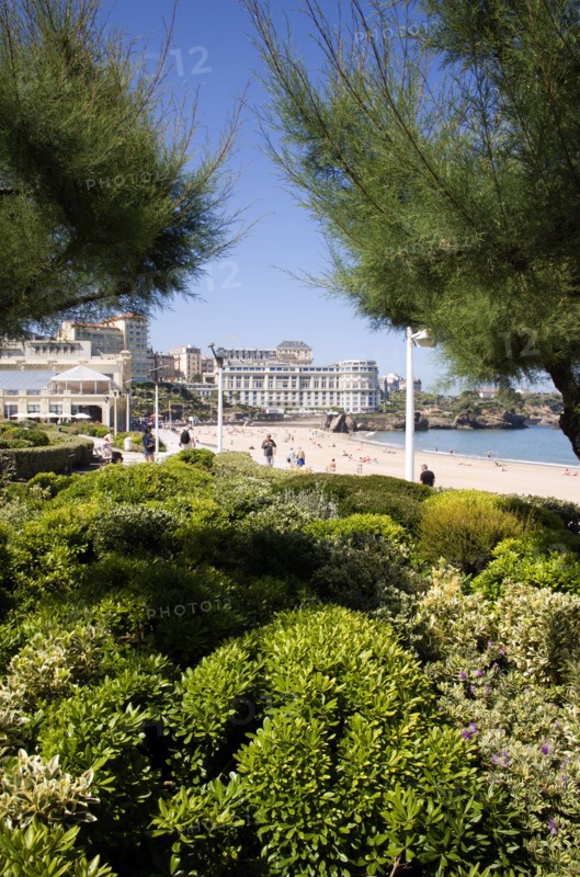 FRANCE, Aquitaine Pyrenees Atlantique, Biarritz, The Basque seaside resort on the Atlantic coast. The Grande Plage beach seen through tamarisk trees in the seafront gardens.