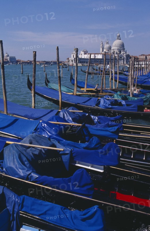 ITALY, Veneto, Venice, Line of gondolas moored at Piazza San Marco jetty with Santa Maria della Salute in distance behind.