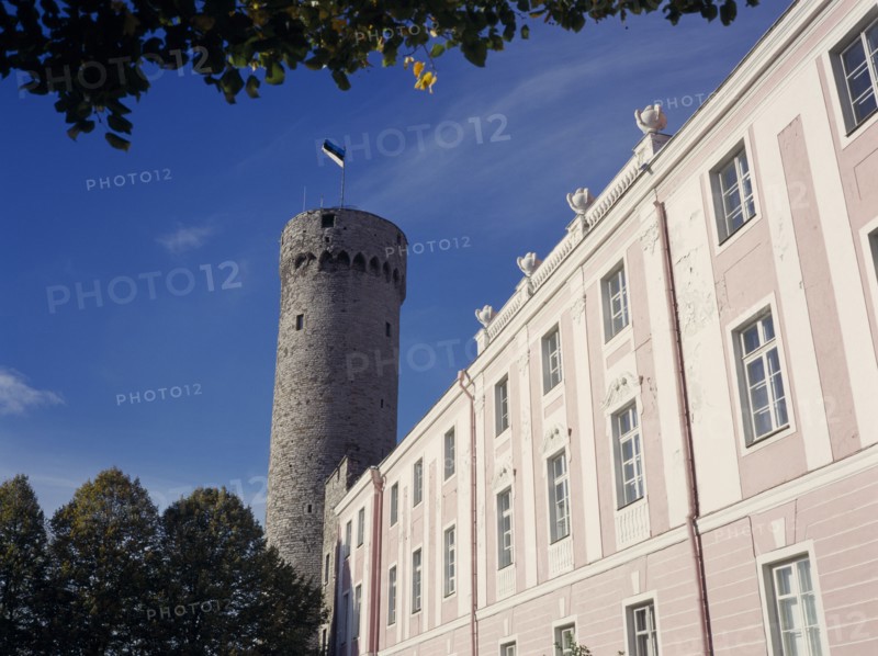 ESTONIA, Tallinn, Hermann Tower and Tallinn Castle part framed by tree branches.