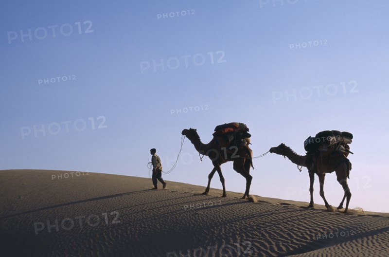 INDIA, Rajasthan, Thar Desert, Camel herder with loaded camels silhouetted against pale sky on ridge of sand dune with wind rippled sand in desert area near Jaisalmer.