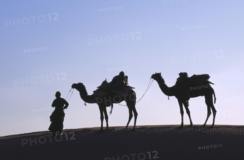 INDIA, Rajasthan, Thar Desert, Camel herder with loaded camels silhouetted against pale sky on ridge of sand dune near Jaisalmer.